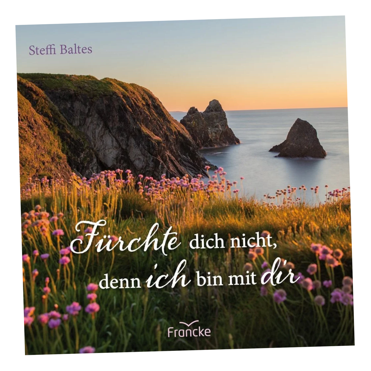Broschüre - Fürchte dich nicht, denn ich bin bei dir - Impulse zur Jahreslosung 2027