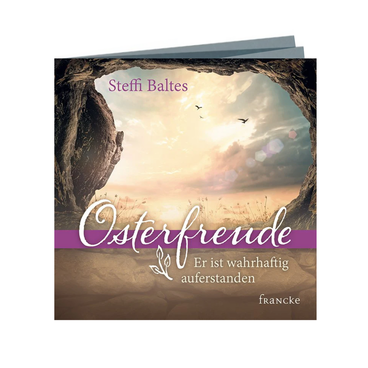 Die Broschüre - "Osterfreude" zeigt ein den Blick aus einer Höhle heraus und erzählt über das Wunder von Jesus, welches wir an Ostern feiern.