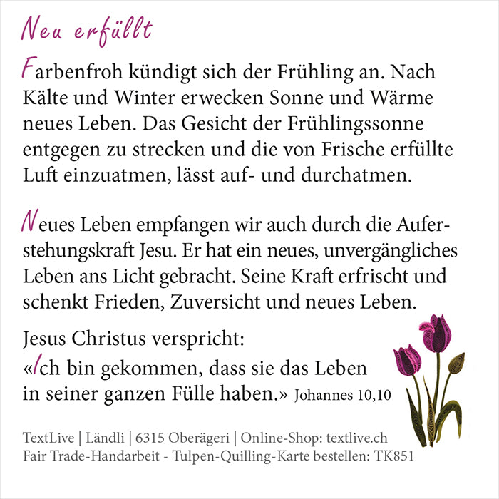 Quilling-Karte - Tulpen 'Neu erfüllt'
