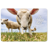 Postkarte - Du schafst das!