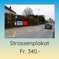 Strassenplakat 340. Gits Gott würkli? Frögen doch selber