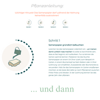 Growing Paper-Karte - Geburt Jesu