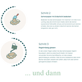Growing-Karte Samen Weihnachten - Karte kann gepflanzt werden