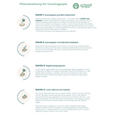 Growing Paper-Card 'In stiller Trauer'
