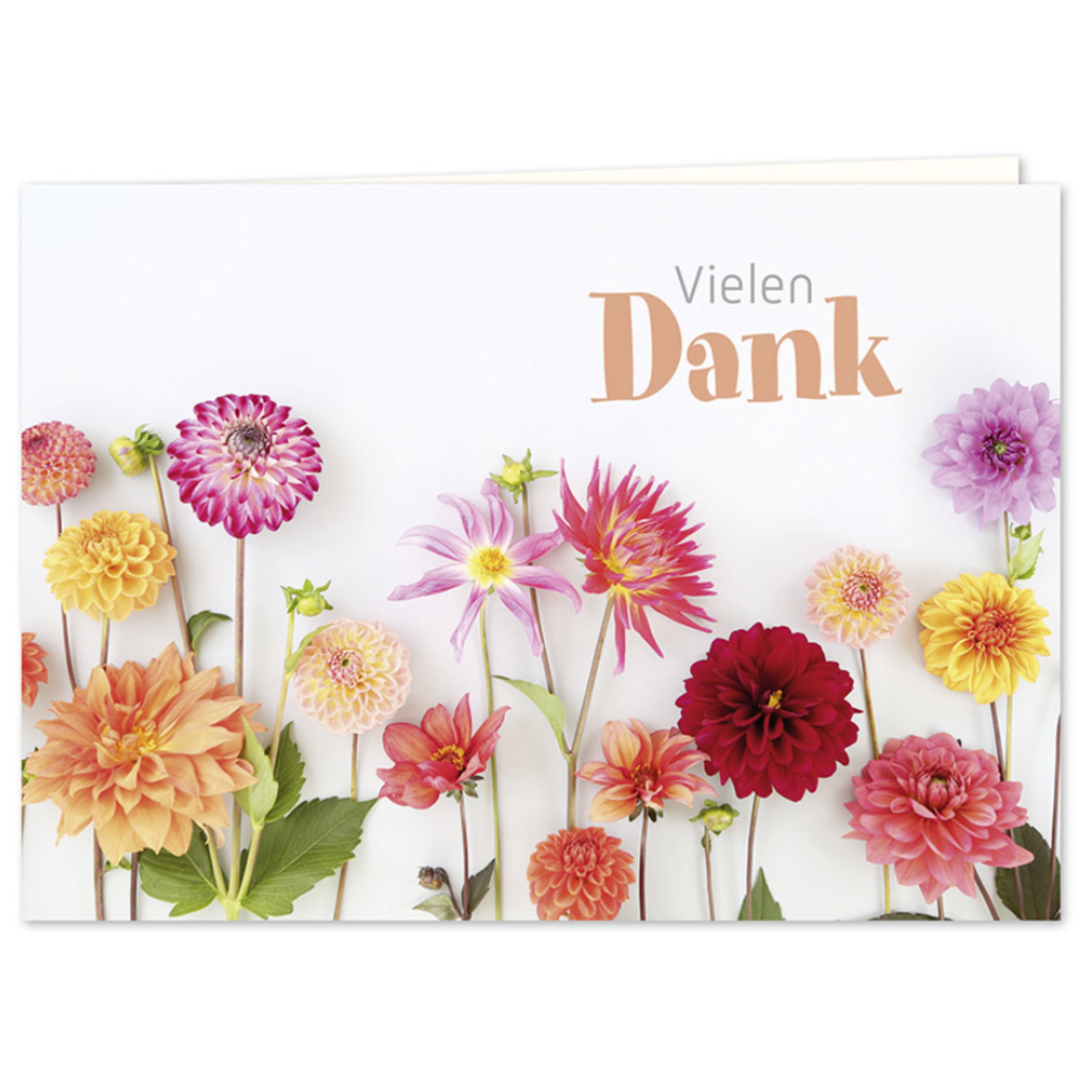 Doppelkarte - Vielen Dank