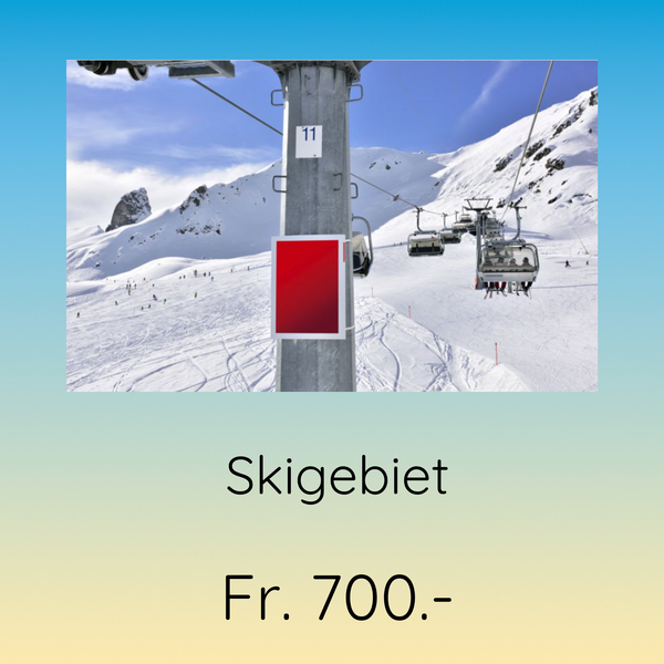 Strassenplakat - Skigebiet