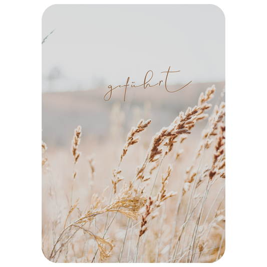 Postkarte - "geführt"