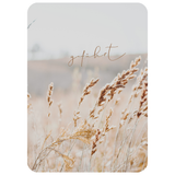 Postkarte - "geführt" - edler SoftTouch-Effekt (samtweich)