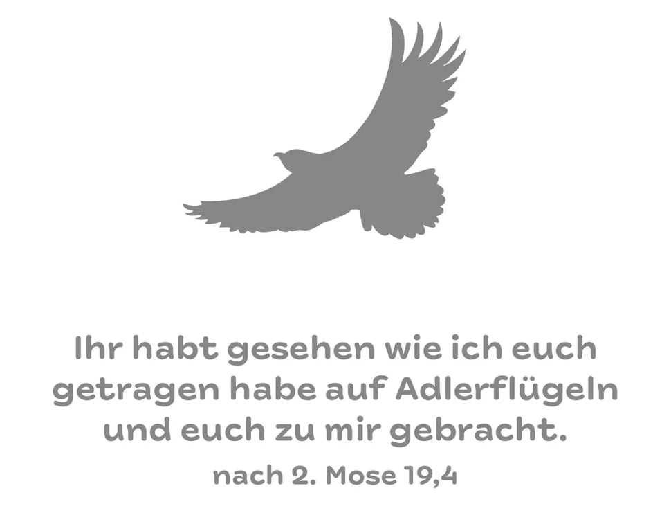Socken schwarz - Grösse 42-46 - Text auf Socken: "getragen - Ex 19,4"
