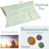 Geschenkbox mit Saatkugeln zum Einpflanzen und Karte - ideales Geschenk