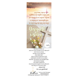 Textband zu Eierkarton mit 6 Lindt Schokoeier und Textband