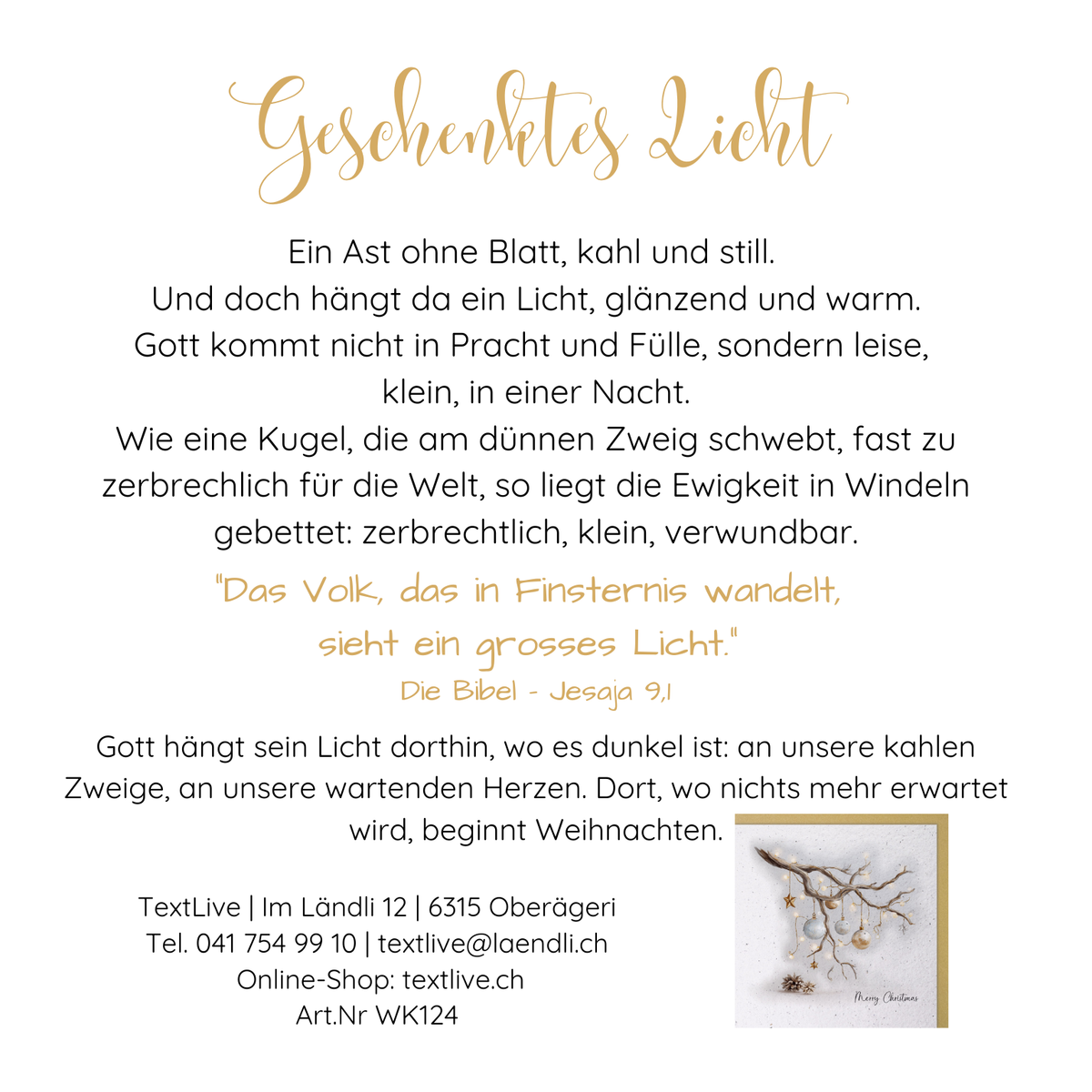 Handmade Paper Karte geschmückter Ast Merry Christmas