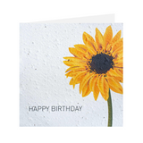 Growing Paper-Card 'Sonnenblume'