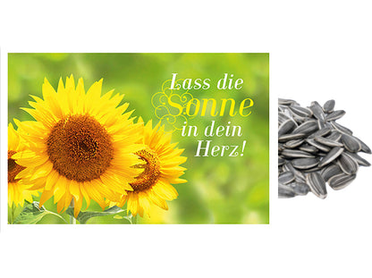 Saatkarte, Sonnenblume, A6