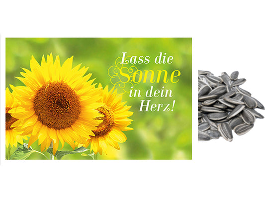 Saatkarte, Sonnenblume, A6